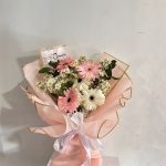 Blushing Gerbi 001