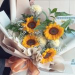 Belle Summer Sunflower