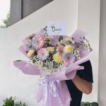 Luxury Gompi Gerbi 001
