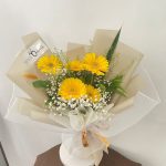 Luxury Cheerful Girl 001