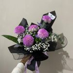 Luxury Lilac Gompie
