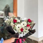 Roriella Roses 005