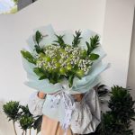 Luxury Fresh Healthy 006