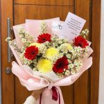 Blossom Gerbi Gompie 001