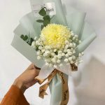 Single Luxury Gompie