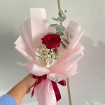 Single Luxury Rose 002