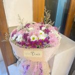 Rounded aster 001