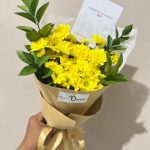 Delightful Aster 002