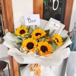Sunflower Edition 007